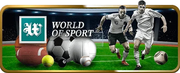 Cá cược bóng rổ vz888 win