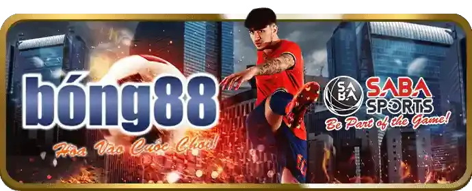 Môi trường giải trí công bằng và an toàn